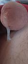 Xxx, foto 1265x2811, 5 reacties, 6 stemmen
