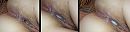 Zaad diep erin!, foto 3265x815, 12 reacties, 61 stemmen