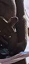 Zaad, foto 956x2071, 0 reacties, 0 stemmen