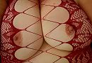 Ze willen er niet in, foto 2586x1806, 34 reacties, 71 stemmen