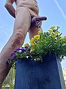 Zeg het met bloemen, foto 2544x3392, 1 reacties, 1 stemmen
