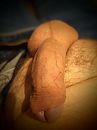 Zin..., foto 3000x4000, 1 reacties, 7 stemmen