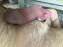 Zin, foto 3264x2448, 2 reacties, 7 stemmen