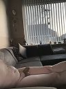 Zit al een kwartier zo, foto 2316x3088, 1 reacties, 6 stemmen