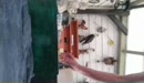 Zo heerlijk om eigen kontgat, film 00:00:00, 2 reacties, 8 stemmen