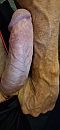Zo hard nu, foto 934x2000, 5 reacties, 5 stemmen