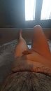 Zoek fwb, foto 2250x4000, 0 reacties, 3 stemmen