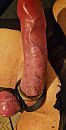 .., foto 1848x3610, 0 reacties, 2 stemmen