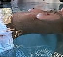 ..., foto 2065x1871, 10 reacties, 41 stemmen