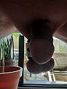 ..., foto 2556x3408, 0 reacties, 1 stemmen