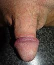 ., foto 3310x4000, 0 reacties, 1 stemmen