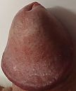 ., foto 1694x2018, 0 reacties, 0 stemmen