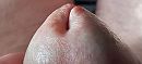 ., foto 2002x924, 0 reacties, 1 stemmen