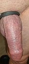 ..., foto 1848x4000, 0 reacties, 2 stemmen