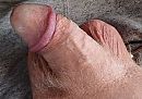 ., foto 2467x1731, 0 reacties, 3 stemmen