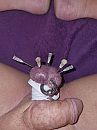 .., foto 3000x4000, 4 reacties, 5 stemmen