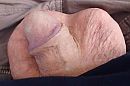 ., foto 2585x1723, 0 reacties, 0 stemmen