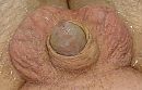., foto 2437x1569, 0 reacties, 0 stemmen