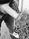 .., foto 507x676, 5 reacties, 18 stemmen