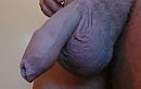 ..., foto 1807x1153, 2 reacties, 1 stemmen
