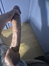 ., foto 3000x4000, 1 reacties, 7 stemmen