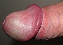 ., foto 1825x1333, 2 reacties, 2 stemmen