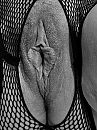 ., foto 1536x2048, 3 reacties, 16 stemmen