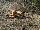 ., foto 4000x3000, 6 reacties, 48 stemmen