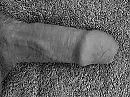 ., foto 2688x2016, 0 reacties, 0 stemmen
