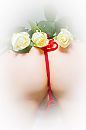 a kiss from a rose, foto 2666x4000, 4 reacties, 19 stemmen