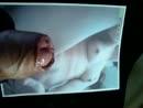 aan verzoek, film 00:00:00, 4 reacties, 3 stemmen