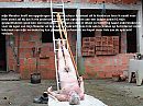 aan een ladder, foto 1240x930, 2 reacties, 2 stemmen