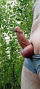 beetje een stijve, foto 360x800, 7 reacties, 17 stemmen