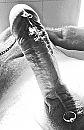 black and white, foto 1993x3067, 2 reacties, 4 stemmen