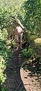 bloot aa strand 2, foto 1712x3712, 2 reacties, 12 stemmen