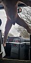 bloot achter de grote voorruit, foto 505x1024, 2 reacties, 8 stemmen