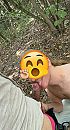 blowjob, foto 948x1737, 3 reacties, 13 stemmen
