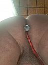 buttplug dragend, foto 2448x3264, 1 reacties, 3 stemmen