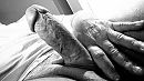 cam, foto 3264x1836, 9 reacties, 21 stemmen