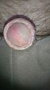 close, foto 2160x3840, 1 reacties, 1 stemmen