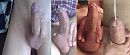 comp, foto 1412x599, 5 reacties, 10 stemmen