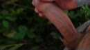die laatste zonnestralen, film 00:00:29, 6 reacties, 12 stemmen