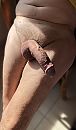 dikke fluit, foto 2352x4000, 5 reacties, 12 stemmen