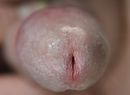 eikel, foto 1278x940, 4 reacties, 6 stemmen
