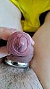 eikel, foto 288x512, 14 reacties, 25 stemmen