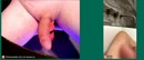 en natuurlijk mijn CUM, film 00:00:00, 1 reacties, 7 stemmen