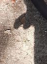 er is, foto 3000x4000, 3 reacties, 3 stemmen