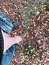 eruit, foto 3000x4000, 10 reacties, 26 stemmen