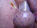 esibizione, foto 640x480, 0 reacties, 1 stemmen