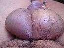 esibizione, foto 640x480, 0 reacties, 0 stemmen